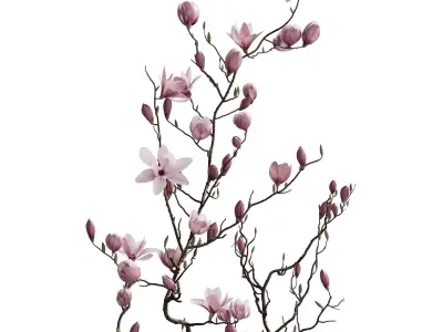 Flower In Vase 85 3D model