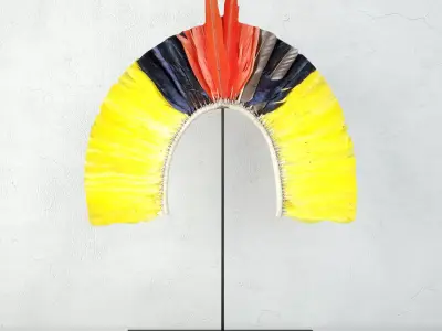 Kayapo Small Feather Headdress 3D model
