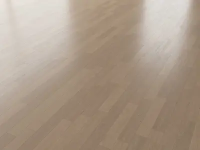 Parquet Oak Canna Brushed set 7 3D model