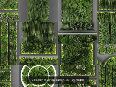 Collection of Vertical garden - 20 
