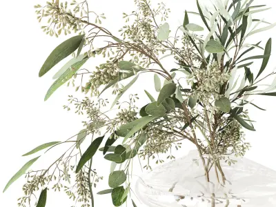 Eucalyptus bouquet 3D model