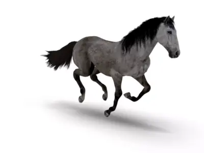 Realistic Animated Gray Horse Low-poly 3D model