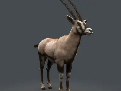 Oryx Antelope Low Poly  Low-poly 3D model