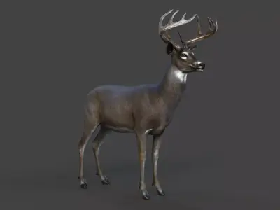 Male Deer Low-poly 3D model