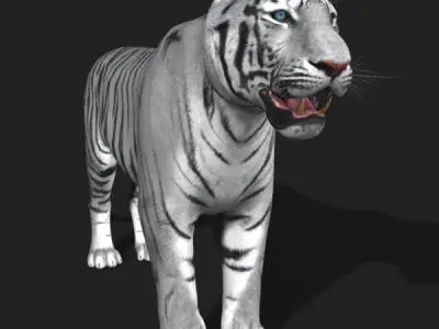 Awesome White Tiger - 3d model 3D model