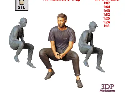 N1 a man sitting on a car 3D print model