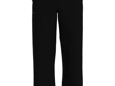 Male cotton canvas pant 3D model
