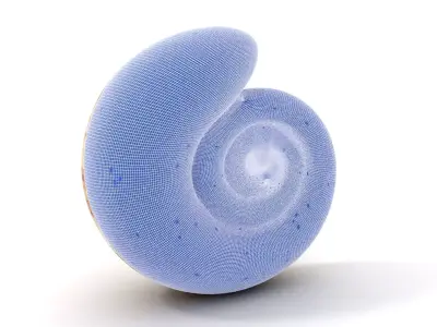 Spiral Seashell model pack Low-poly 3D model