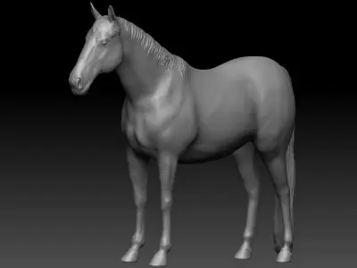 Horse detailed zbrush sculpture 3D model