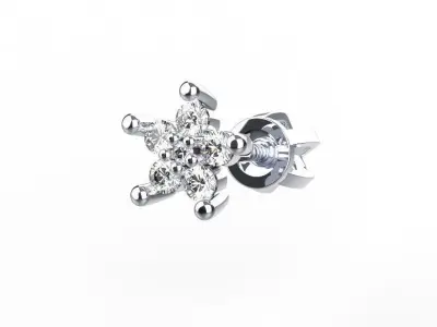 N-0001 star shaped object 3D print model