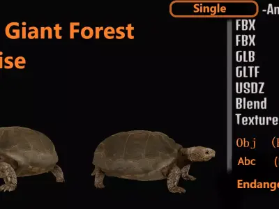 Asian Giant Forest Tortoise Low-poly 3D model