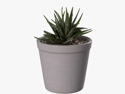 DESK PLANT Low-poly 3D model