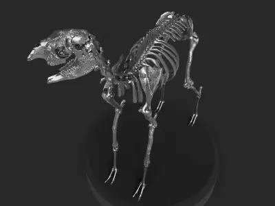 Silver Llama Skeleton 3D model