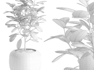 Terracotta plant pot 3D model