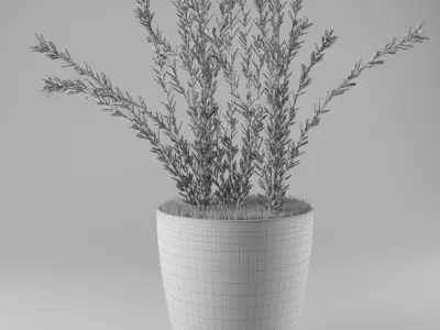 Decorative lavender 3D model