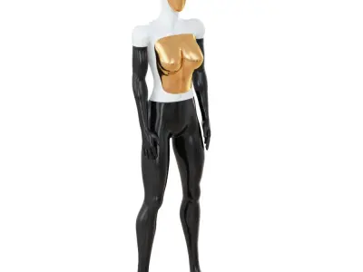 Female Abstract Mannequin 90 3D model