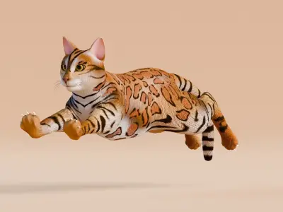 Low poly - Stylized cats - Bengal Cat Low-poly 3D model