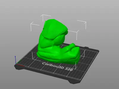 Tiger Dozer bust  3D print model