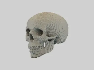 Voxel Skull Low-poly 3D model