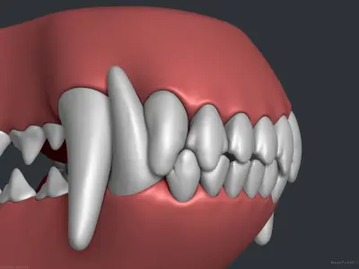 Wolf Dog Teeth Set 3D model