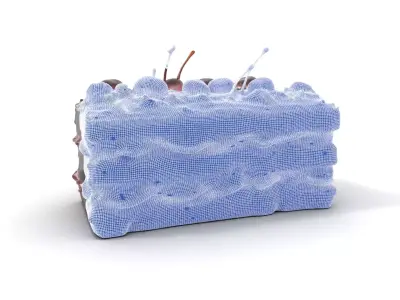 Cherry Chocolate Cake model pack Low-poly 3D model