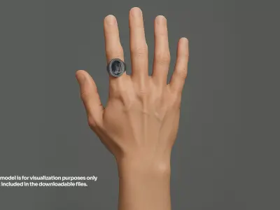 Ornamental Signet Ring 3D Model  Game-Ready  Low-poly 3D model