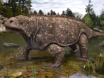 Bradysaurus baini Low-poly 3D model