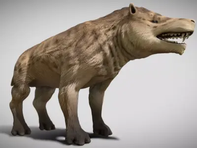Andrewsarchus mongoliensis  Low-poly 3D model