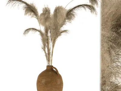 dry plants-pampas in jars of clay 3D model