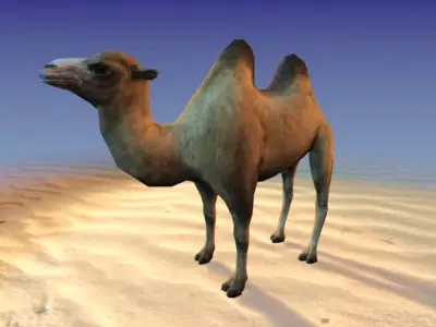 Camel 3D model