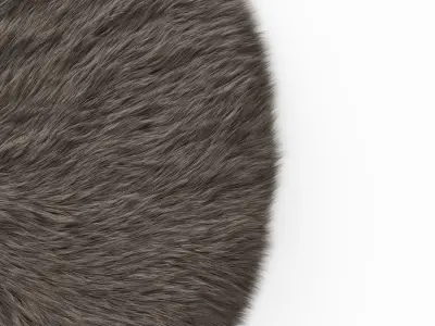 Round Rug Fur 3D model