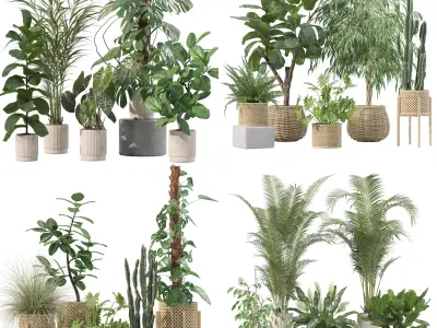 20 Photorealistic Flowers for Interiors - set 202 203 213 219 3D Model Collection