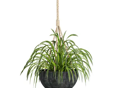 hanging Plants Set 3D model
