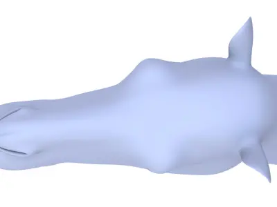 Camel  3D model Low-poly 3D model