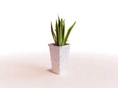 Snake Plant 3D model