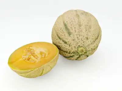 Melons  3D model