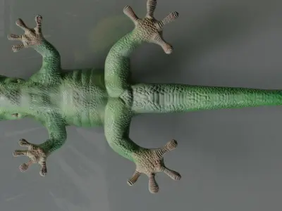 Giant Day Gecko Low-poly 3D model