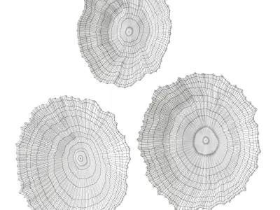 Uttermost Ocean Gems Wall decor 3D model