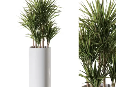 Plants collection vol 58