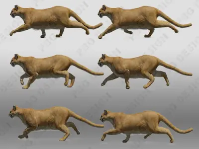 Mountain Lion Animated 3D model