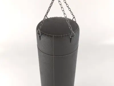 Leather Punching Bag 3D model