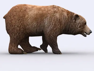 3DRT - Wild Animals Low-poly 3D model