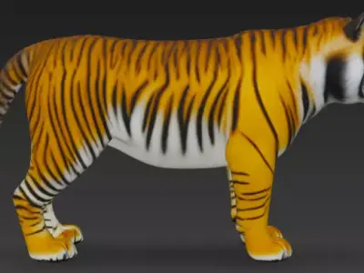 Bengal Tiger 3d Model 3D model