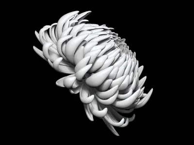 Aster 3D print model