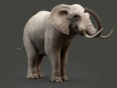 Rigged Elephant model 8K Low-poly 3D model