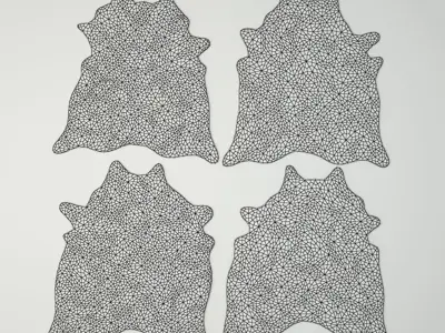 Rugs 6 cowhide rug 3D model