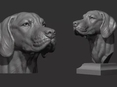 Hungarian Vizsla dog 3D print model