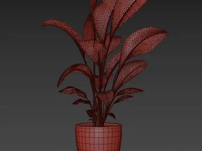indoor plant 10 3D model