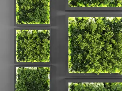Vertical garden collection of 10
