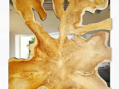 Organic Teak Root Mirror 3D model